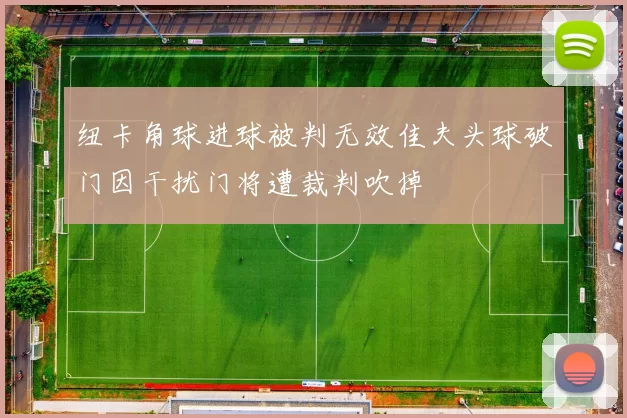 纽卡角球进球被判无效佳夫头球破门因干扰门将遭裁判吹掉